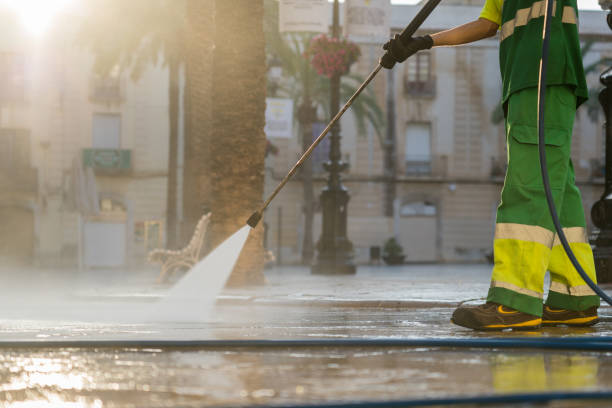 Best Local Pressure Washing Services  in San Carlos Park, FL